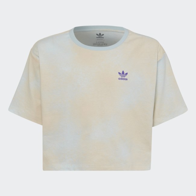 Adidas Blue Graphic Print Cropped Tee